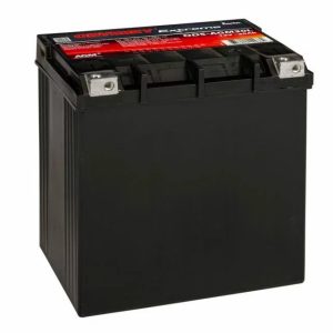 Odyssey ODS-AGM30L 30Ah 400CCA (